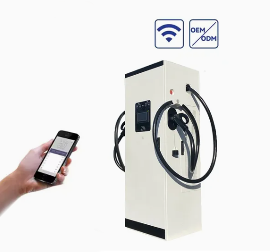 Stazione di Ricarica Rapida pe - Ev Charging Station 60Kw Dc Fast recensione e prezzo