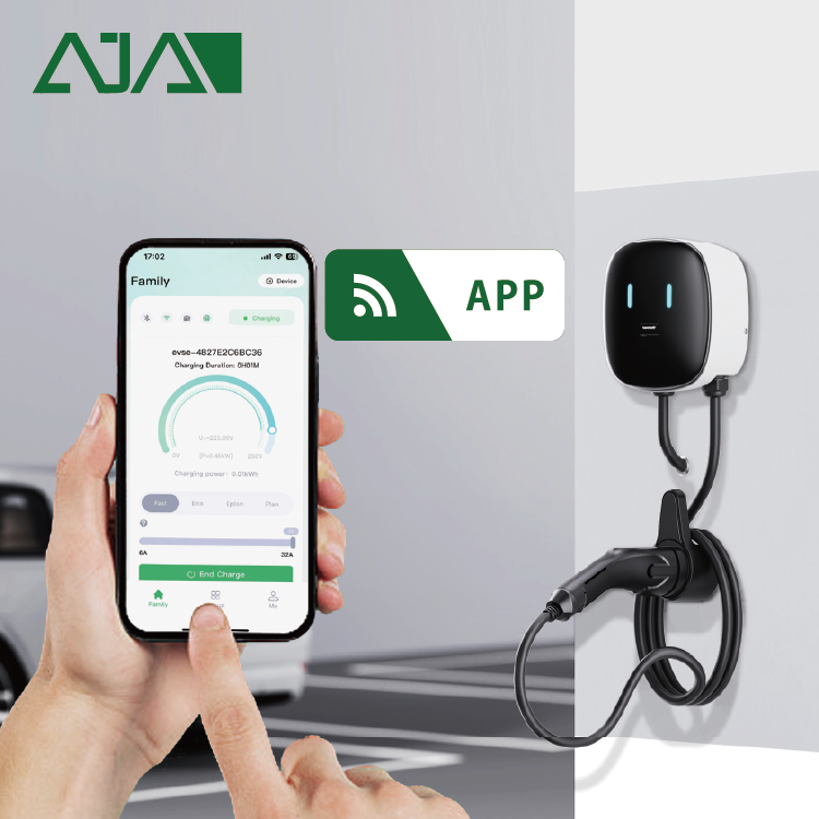 Caricatore Portatile per Veico - Ev Charger 22Kw Wallbox Type 2 recensione e prezzo