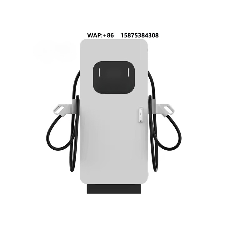 Fornitore di Stazioni di Ricar - Ev Charging Station 60Kw Dc Fast recensione e prezzo