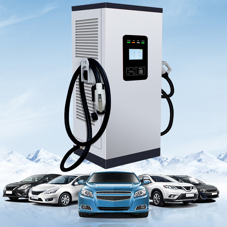 Stazioni di ricarica rapide DC - Ev Charging Station 60Kw Dc Fast recensione e prezzo